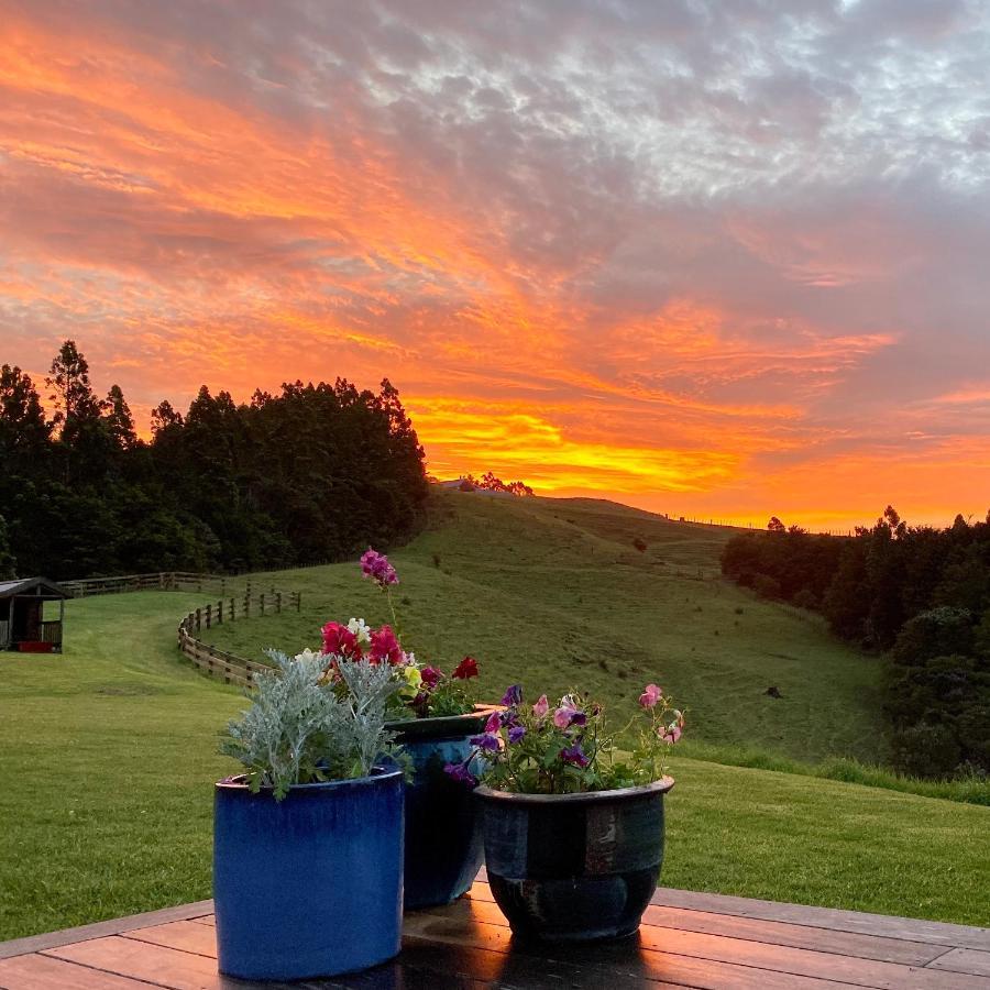 Kauri Glen Bnb Te Arai Kültér fotó