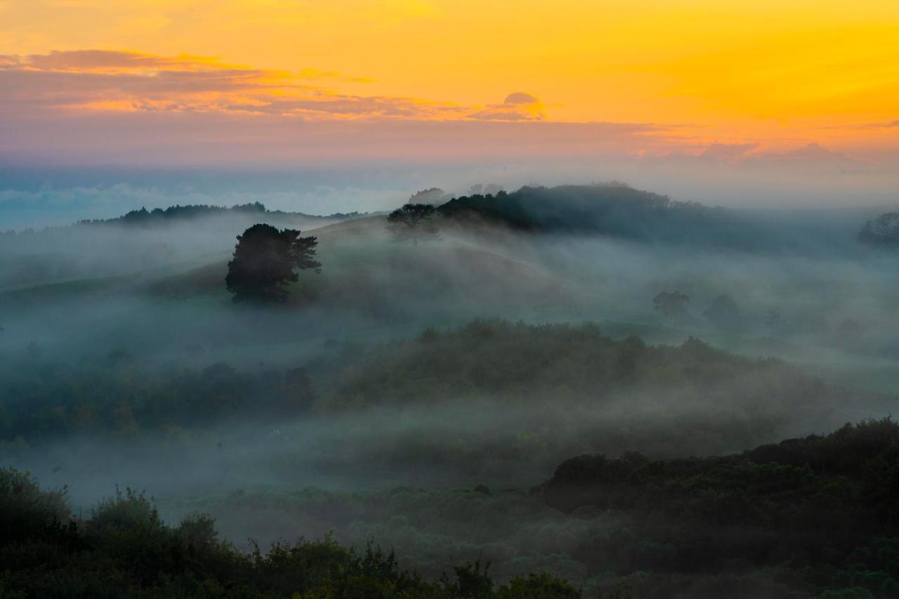 Kauri Glen Bnb Te Arai Kültér fotó