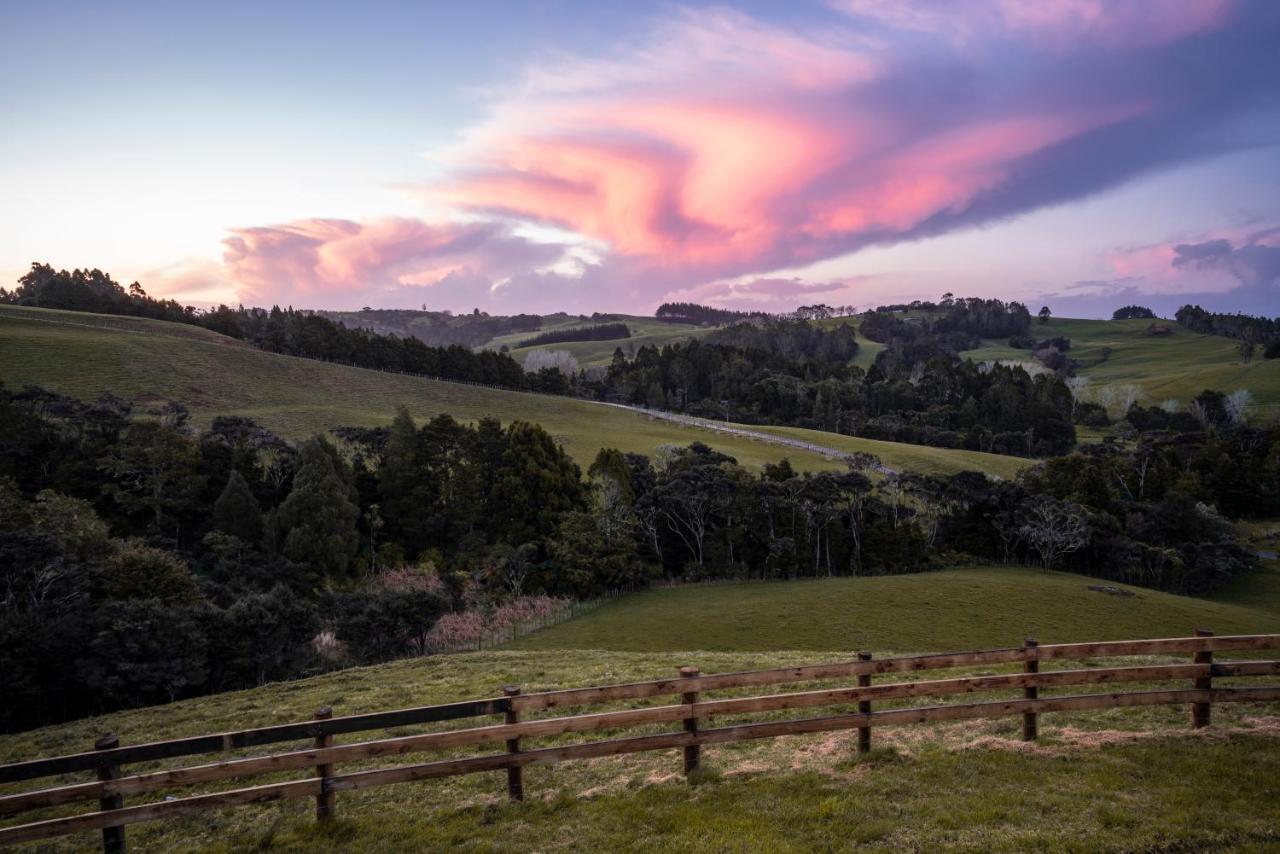 Kauri Glen Bnb Te Arai Kültér fotó