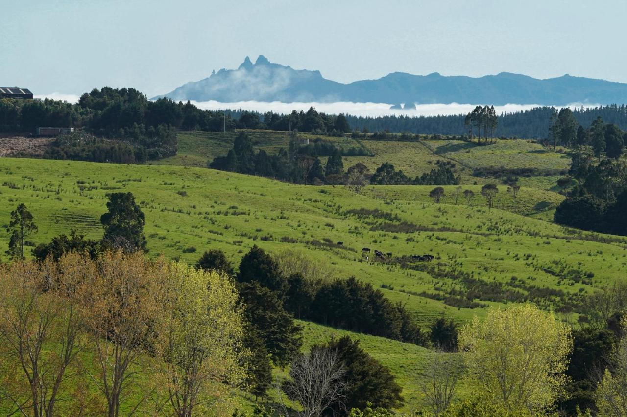 Kauri Glen Bnb Te Arai Kültér fotó